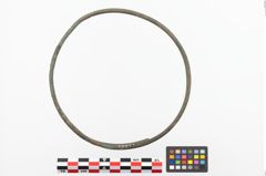 Foto von Bronzehalsring (NHMW-PRAE-023867)
